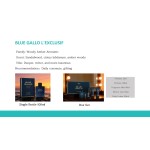 BLUE GALLO EXCLUSIF Eau de Toilette Woody Aromatic Men Perfume 100ml